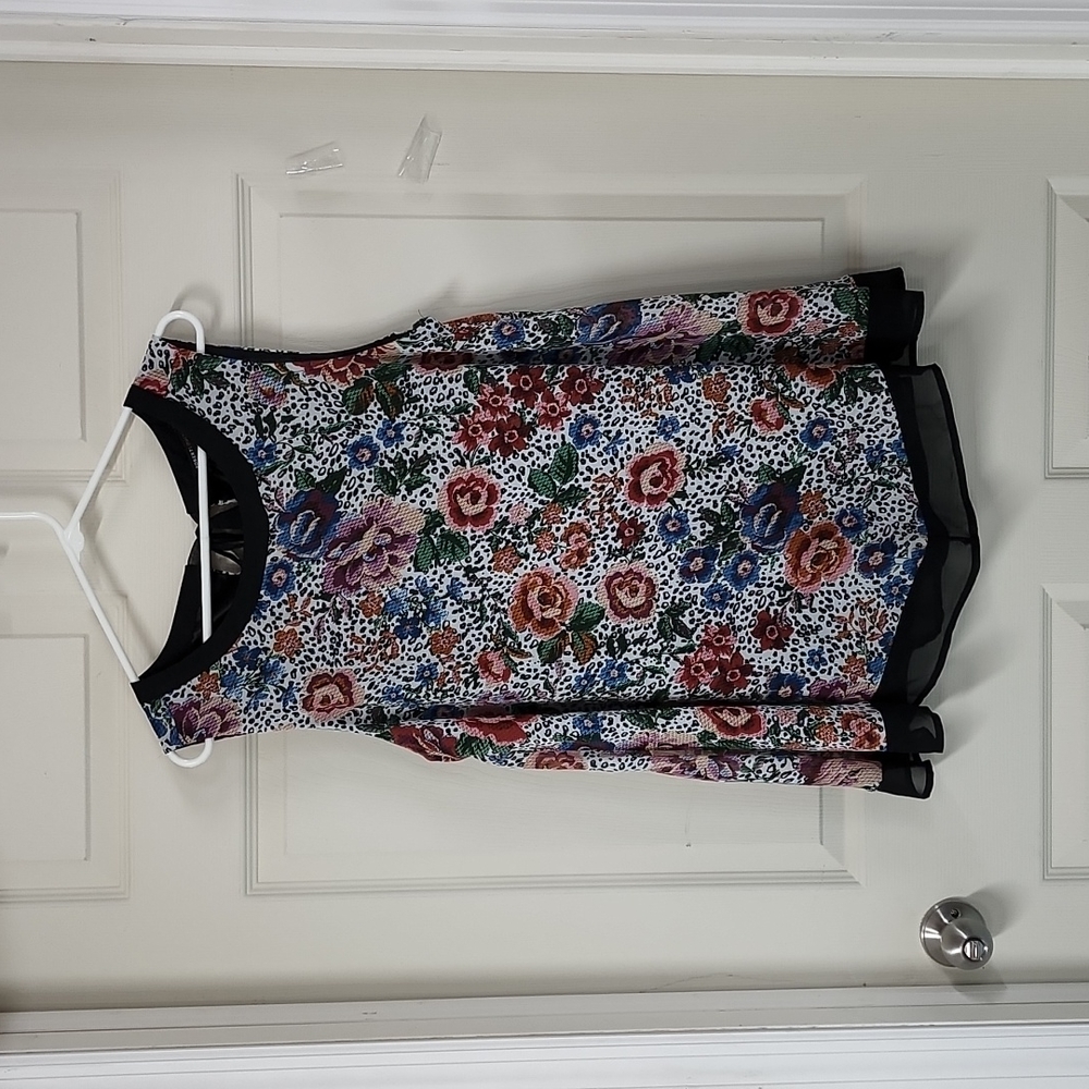 Robert Louis top